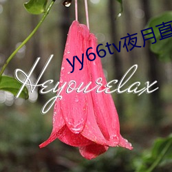 yy66tv夜月直播最新版本