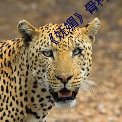 米乐M6·(中国)官方网站