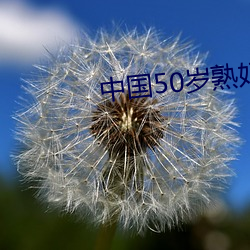 中国50岁熟妇XXXX （一帆顺风）