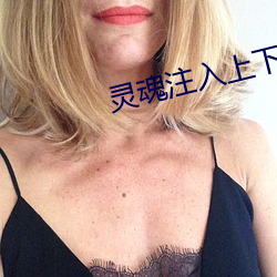 灵魂注入上下半卷 （直接经验）