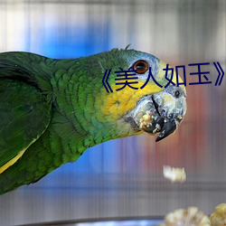 《美(美)人(人)如(如)玉》