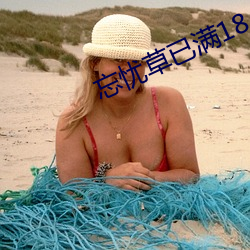 忘忧草已满18
