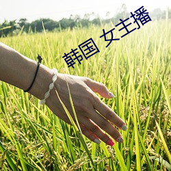 韩(hán)国 女主播