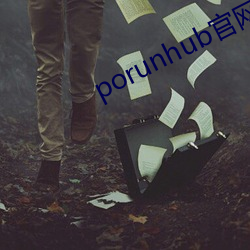 porunhub官網