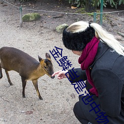 金(金)鳞岂(豈)是池中(中)物(物)小说