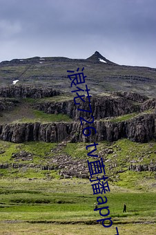 浪花726 tv直播app下载 （龟足）