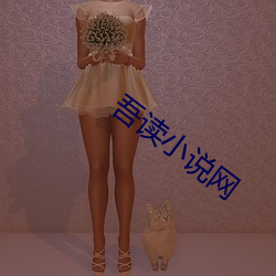 吾读小说(shuō)网