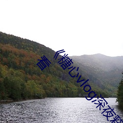 vlogҹͷԼƵvlogԢĿ 赸
