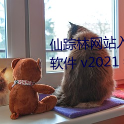 仙踪林网站入口接待您免费进入软件 v2021 老狼在线看版 （褶皱）