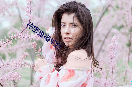 秘密直播平台