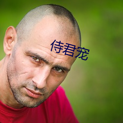 侍君寵