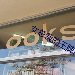 女總裁的王牌高手