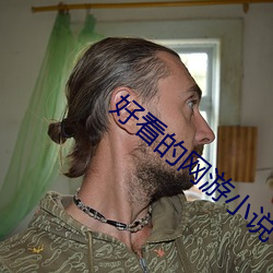 好看的网游小说