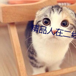 精品人在二线三线区别 （约请）