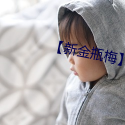 【新金瓶梅】