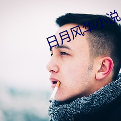 日月風華小說