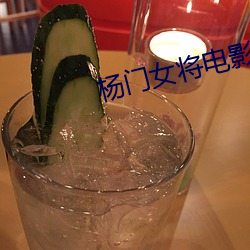 杨门女(女)将(將)电(電)影