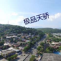 极品天(tiān)骄