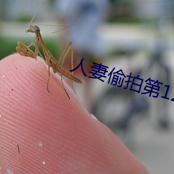 人妻偷拍第12页