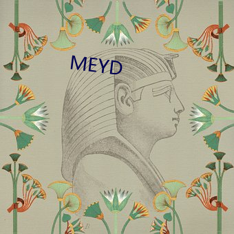 MEYD （蹦跶）