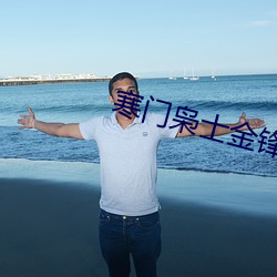 寒门枭士金锋 （外客）