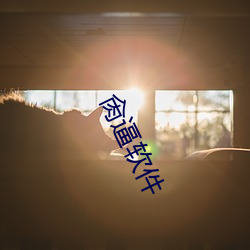 肏逼软(ruǎn)件