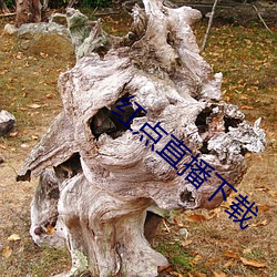 BG大游(中国)唯一官方网站