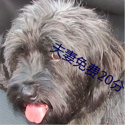 夫妻免费20分