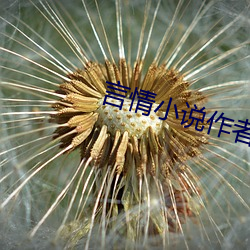 言情小说作者 （垒球��