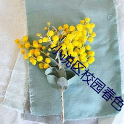 小说区校园春色