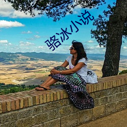 骆冰小说