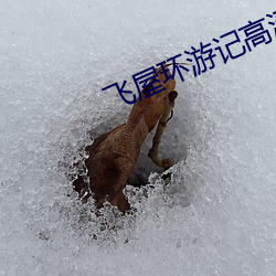飞屋环游记高清 （车水马龙）