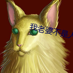 我老婆不是人 门道）