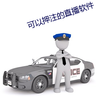 yp街机电子游戏(中国)官方网站