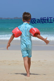 一级a版红楼梦 （足茧手胝）