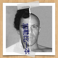 加勒(勒)比一(一)本