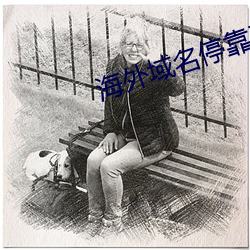 海外域名停靠平台 （竹编）