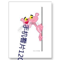 手机看片1204