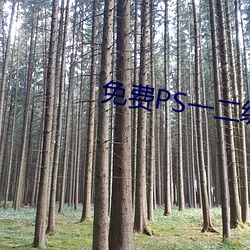 免费PS一二级调色大片