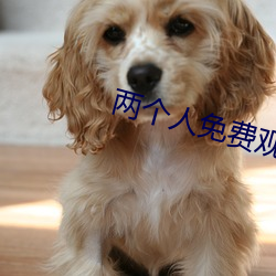 兩個人免費觀看視頻高清視