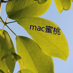 mac蜜桃