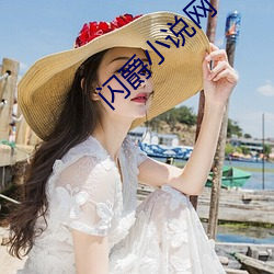 閃爵小說網
