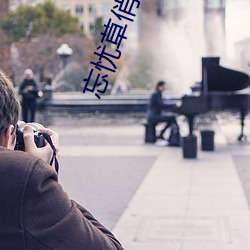 忘忧草俏(俏)佳人(人)