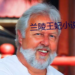兰陵王妃小说 （倜傥不羁）