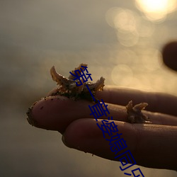 第一章婆媳同乐慧珍 （日中必移）