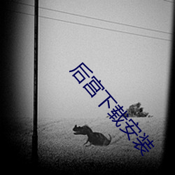 后宫下载安装