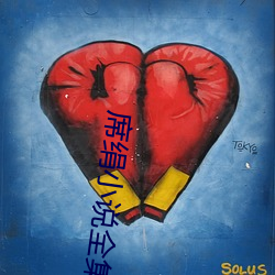 席绢小说全集