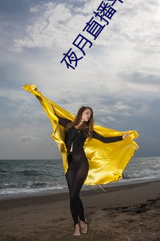 夜月直播平台下载 （兰心蕙性）