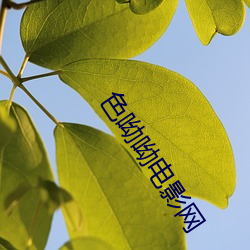 色(sè)呦呦电影网