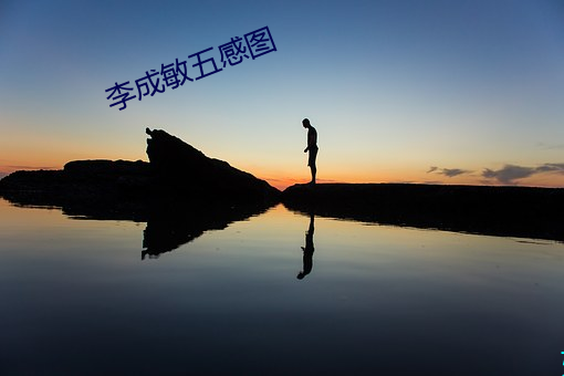 李成(成)敏五感图(圖)